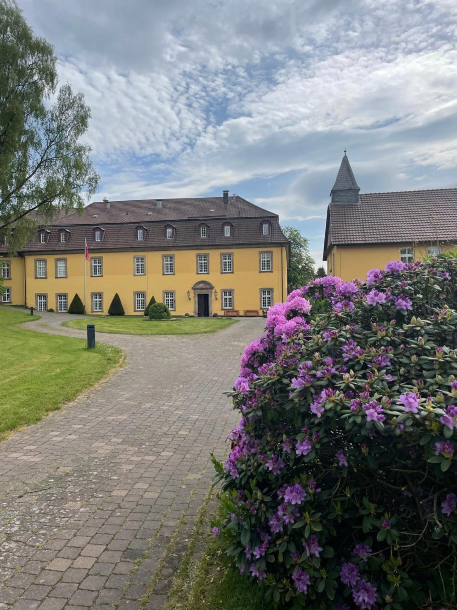 Hotel Schloss Hoehnscheid Bad Arolsen Extérieur photo