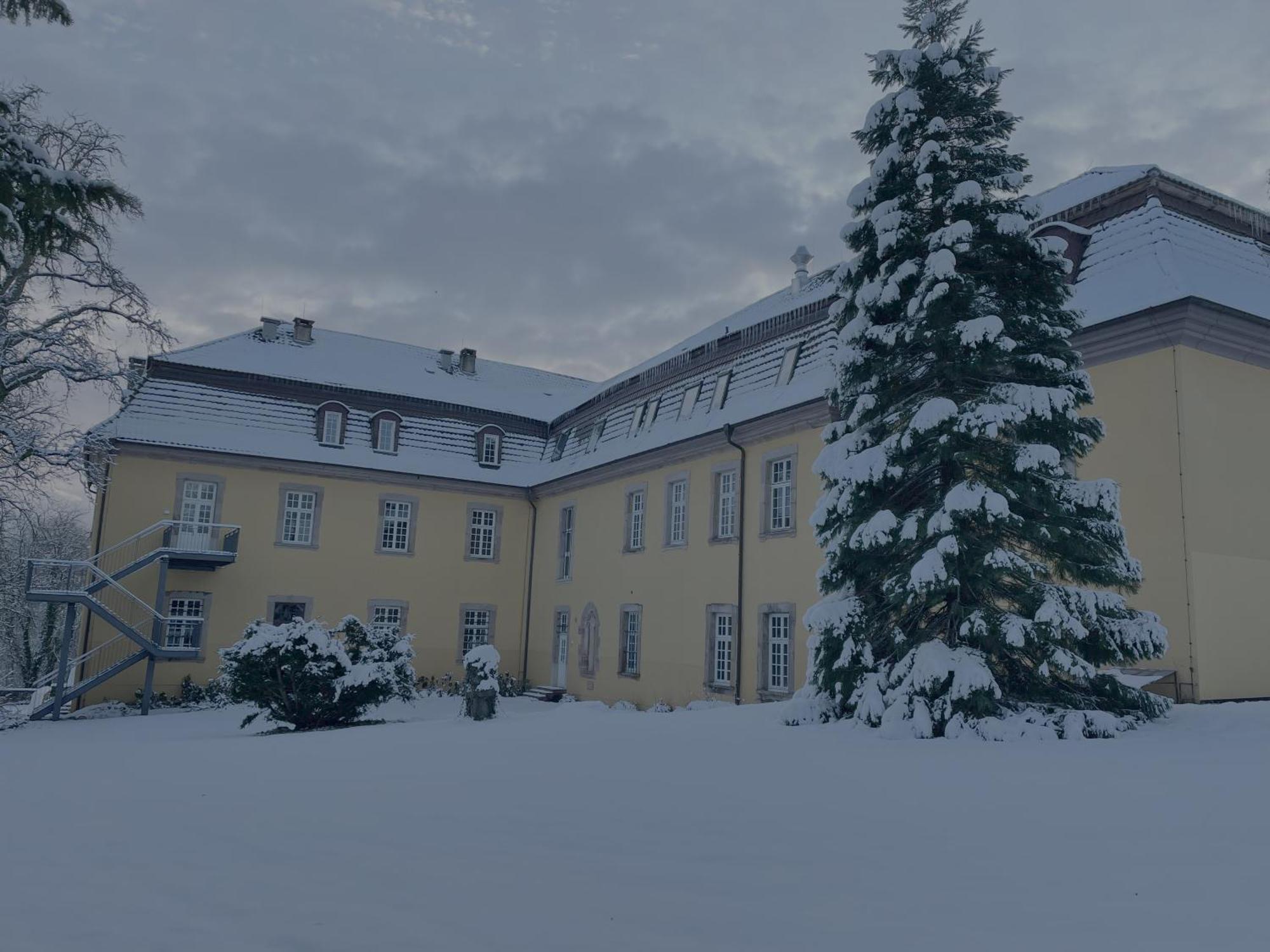 Hotel Schloss Hoehnscheid Bad Arolsen Extérieur photo